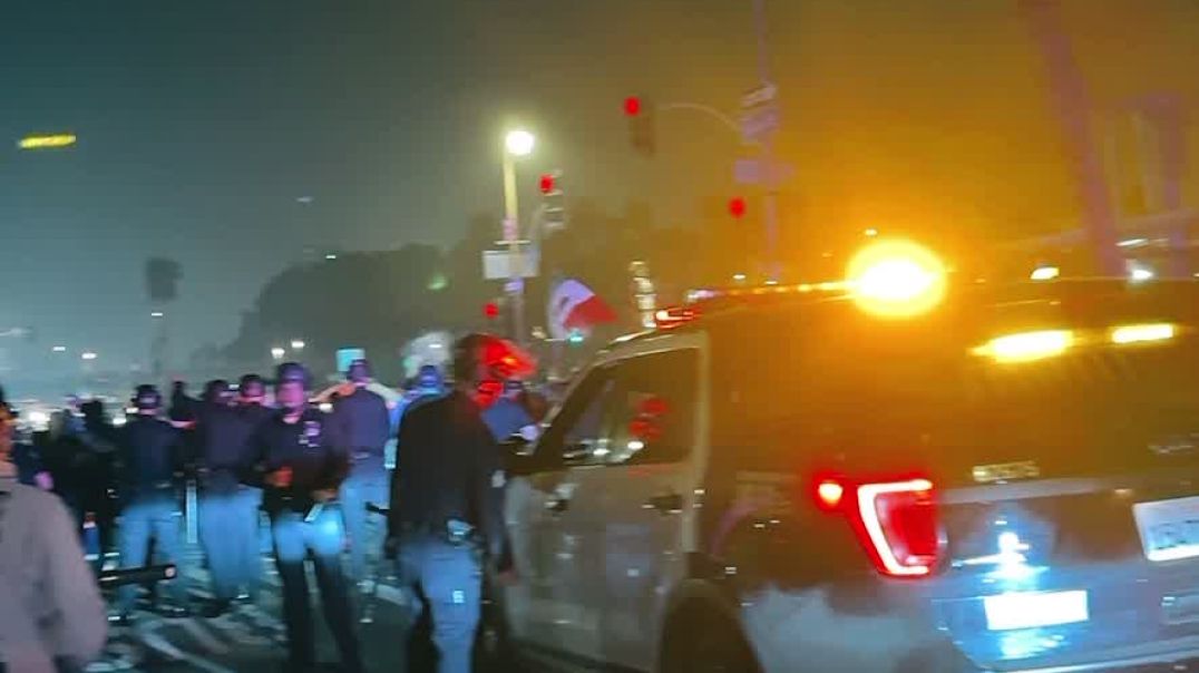 LA protest with no sound 2/2/2025